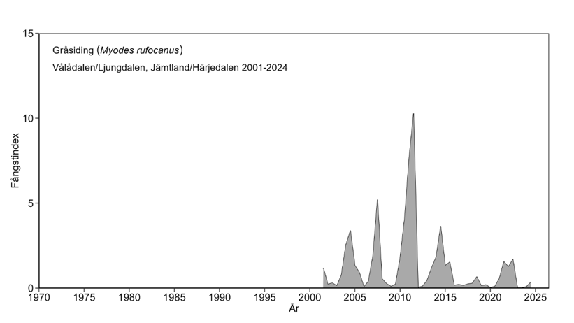 Diagram över antalet fångade gråsidningar