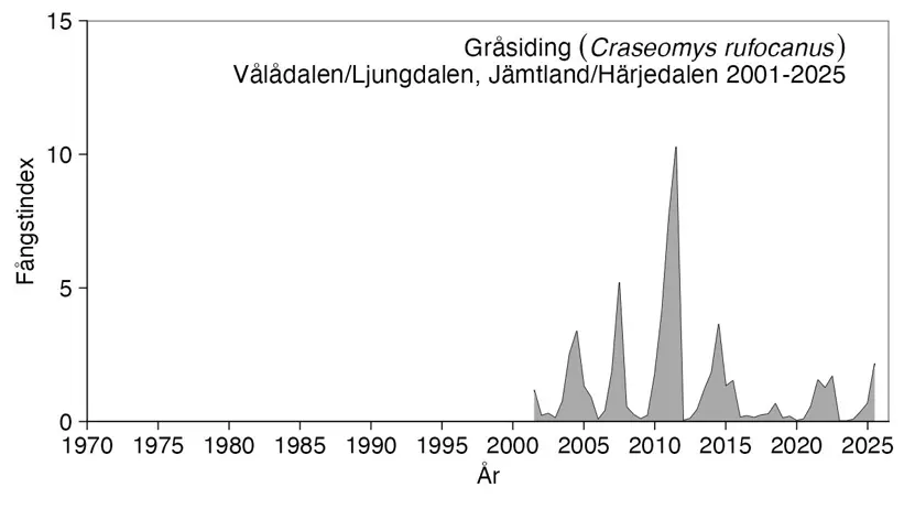 Diagram visar antalet fångade gråsidningar.