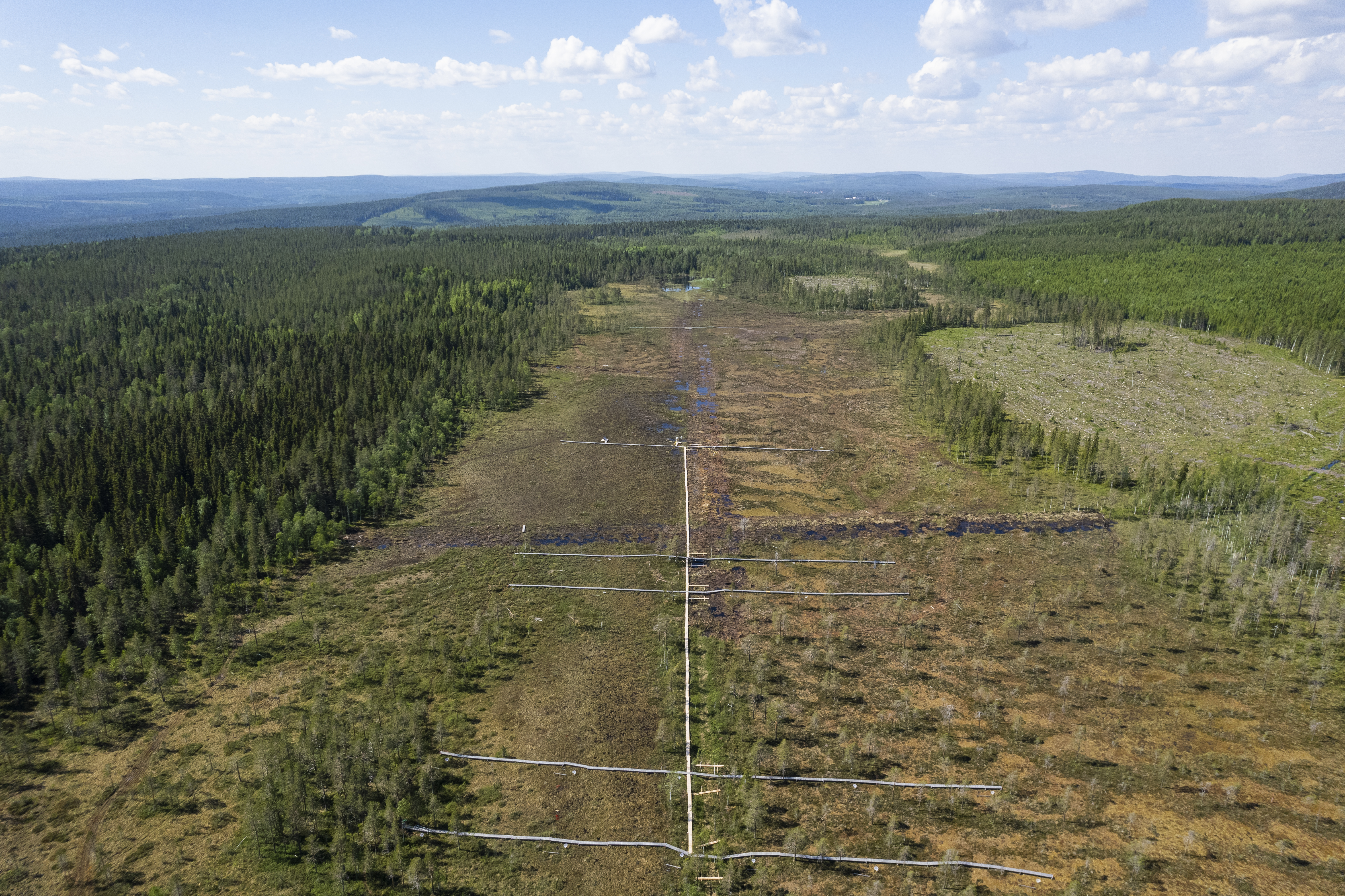 Trollbergets försöksområde, en myr med forskningsinfrastruktur och spänger.