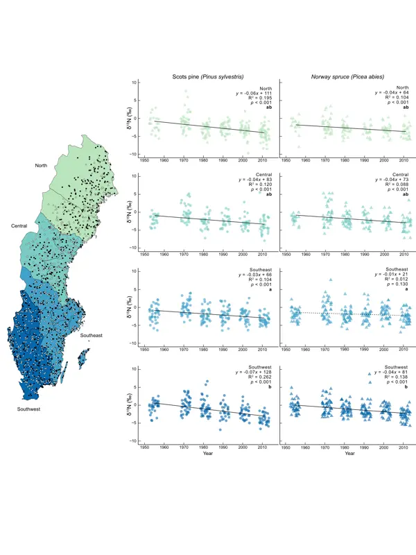 For decades, the stable isotope Nitrogen values of both pine and spruce have been steadily declining across Sweden. Figure: Kelley Bassett/SLU.