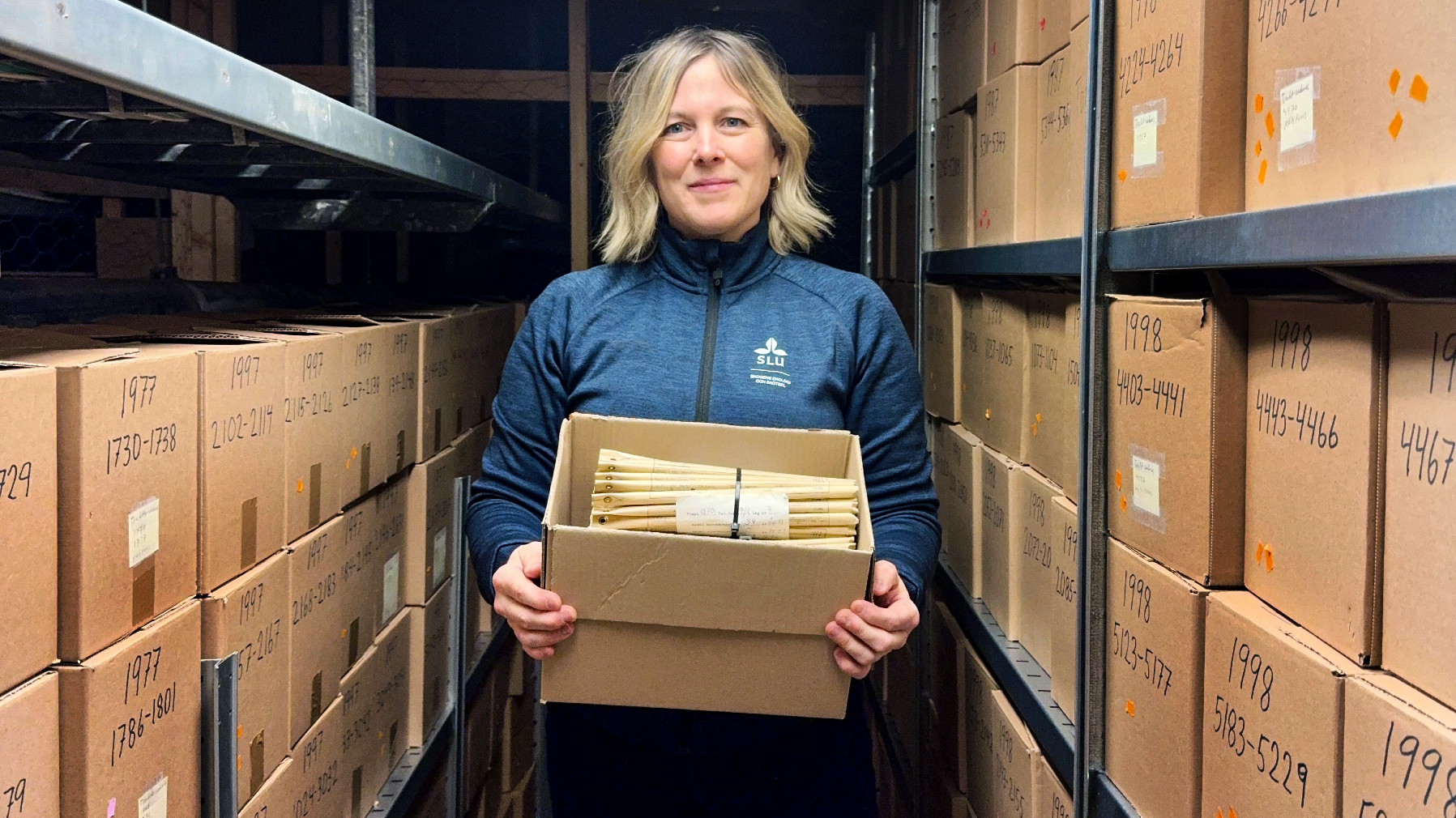 Doktoranden Kelley Bassett i Riksskogstaxeringens borrkärnsarkiv på Skogsfakulteten vid SLU i Umeå.