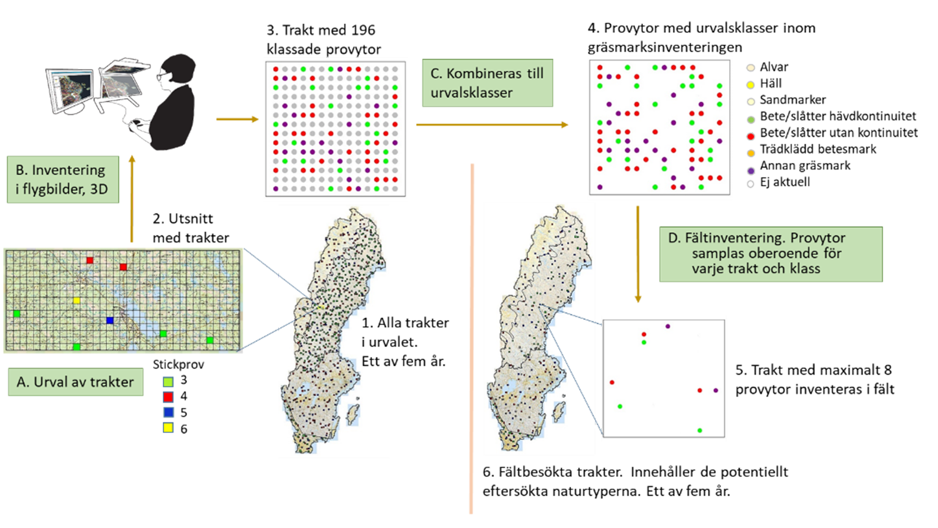  Steg som ingår i stickprovsdesignen 