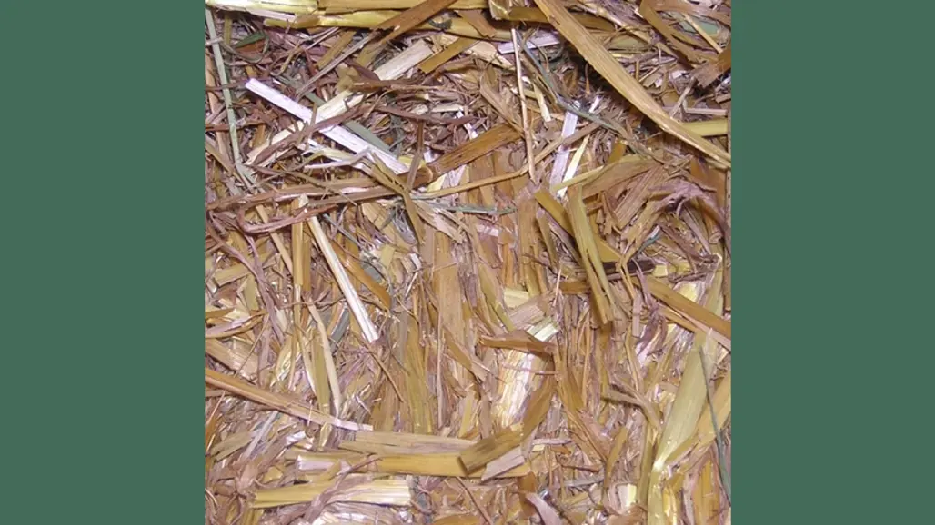 Photo of straw bale.