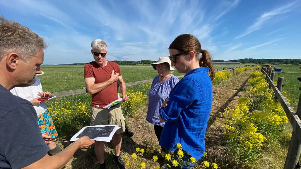 A group of people are standing outside in a field and looking at a map. Photo.