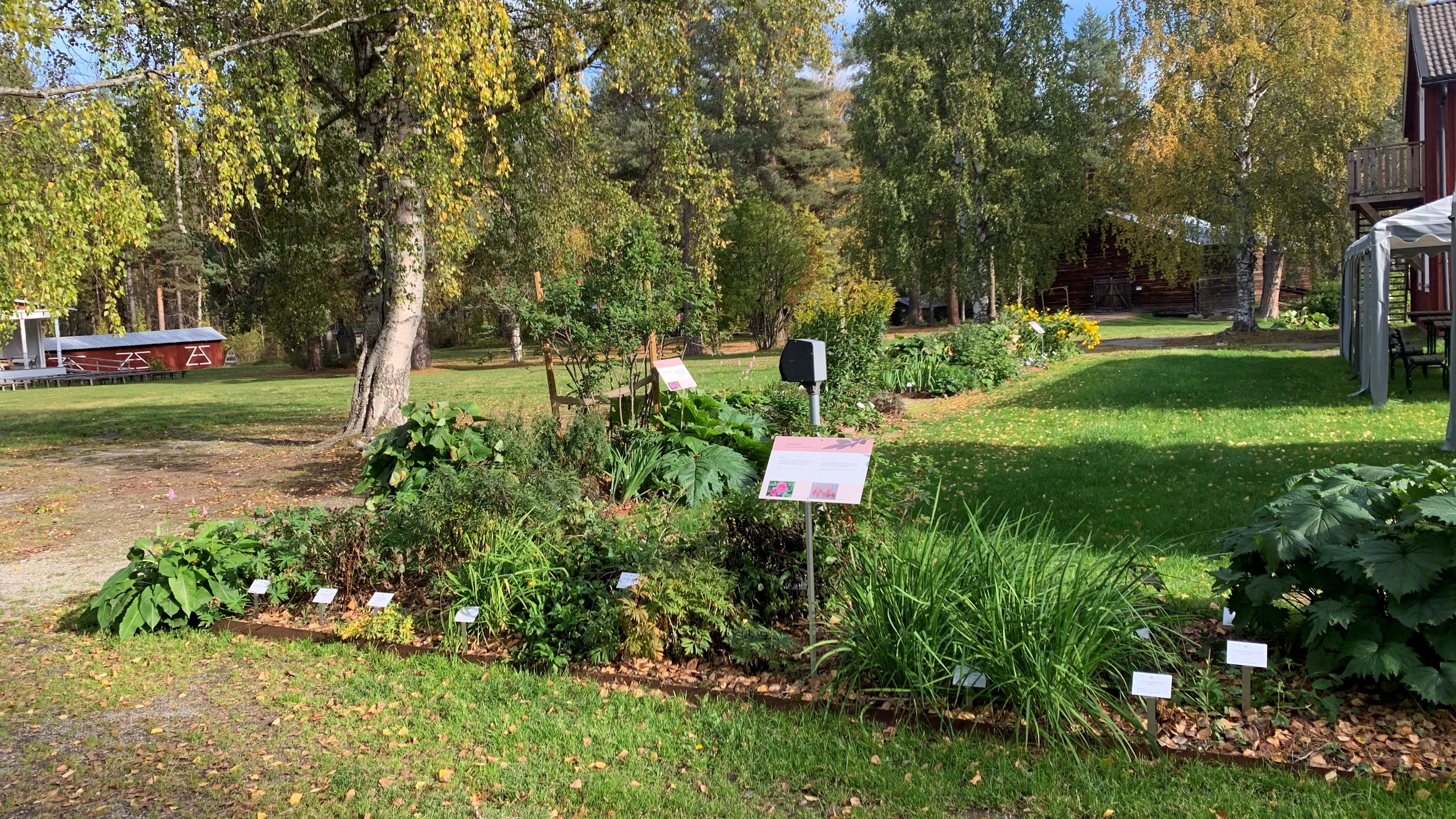 Perenner står planterade i en lång perennrabatt som viker av i en nittiograders vinkel. 