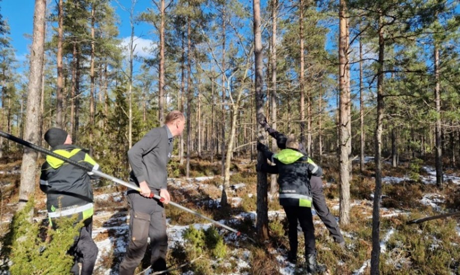 Fältarbete i skog. Foto. 