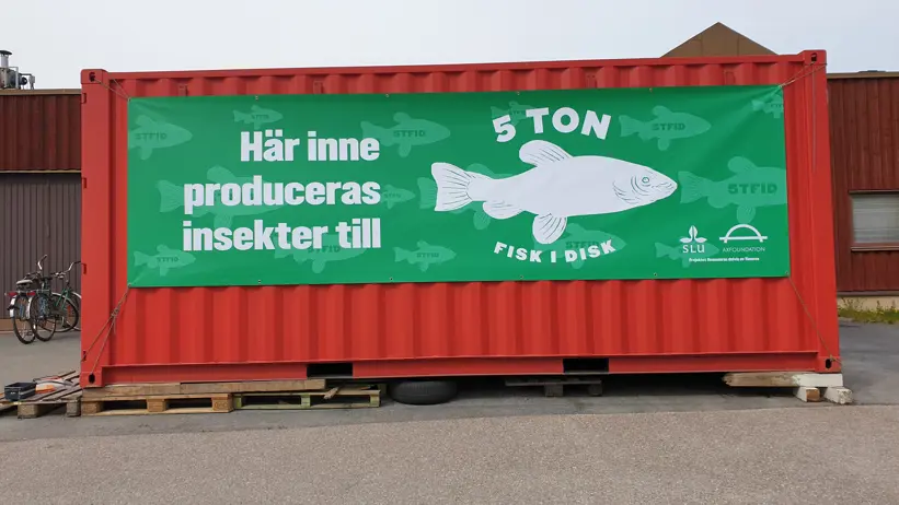 A red, mobile black soldier fly composting container.