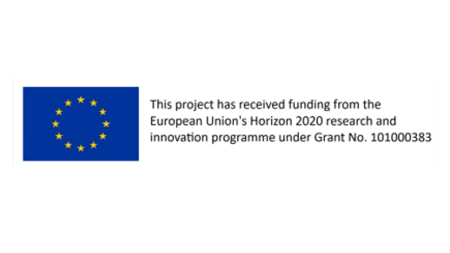 This project has received funding from the European Union's Horizon 2020 research and innovaton programme