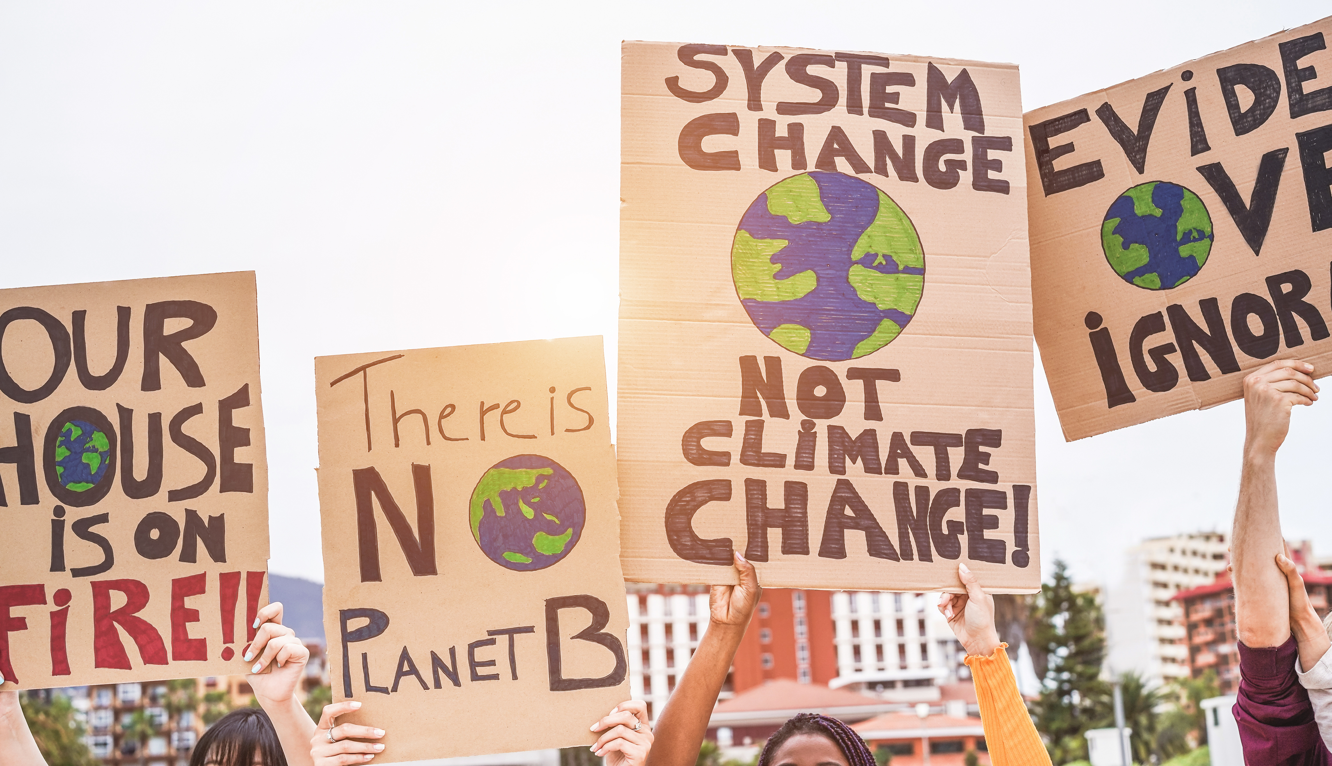 En gruppsamling där folk håller upp skyltar som säger "there is no planet b" och "system change, not climate change".
