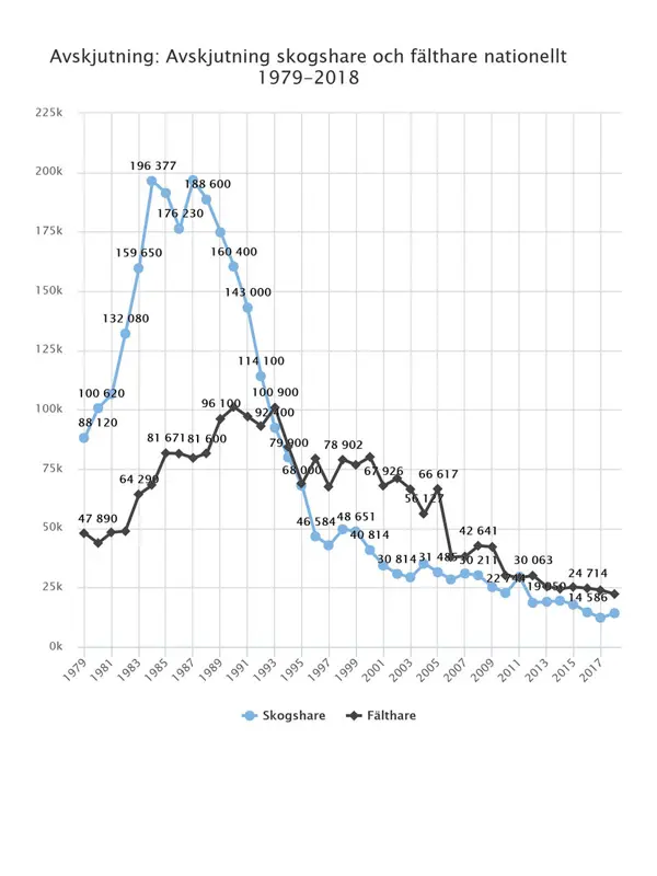 Figur med linjer som visar avskjutning för skogshare och fälthare. Figur