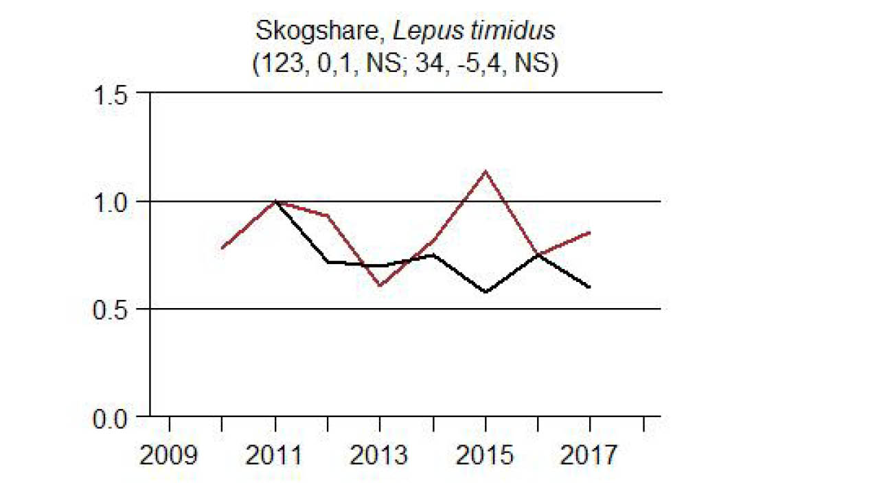 Figur med svart och röd linje. Figur