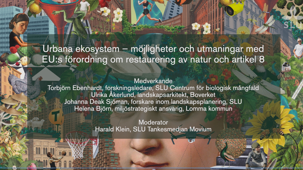 Vignette image Urban ecosystems