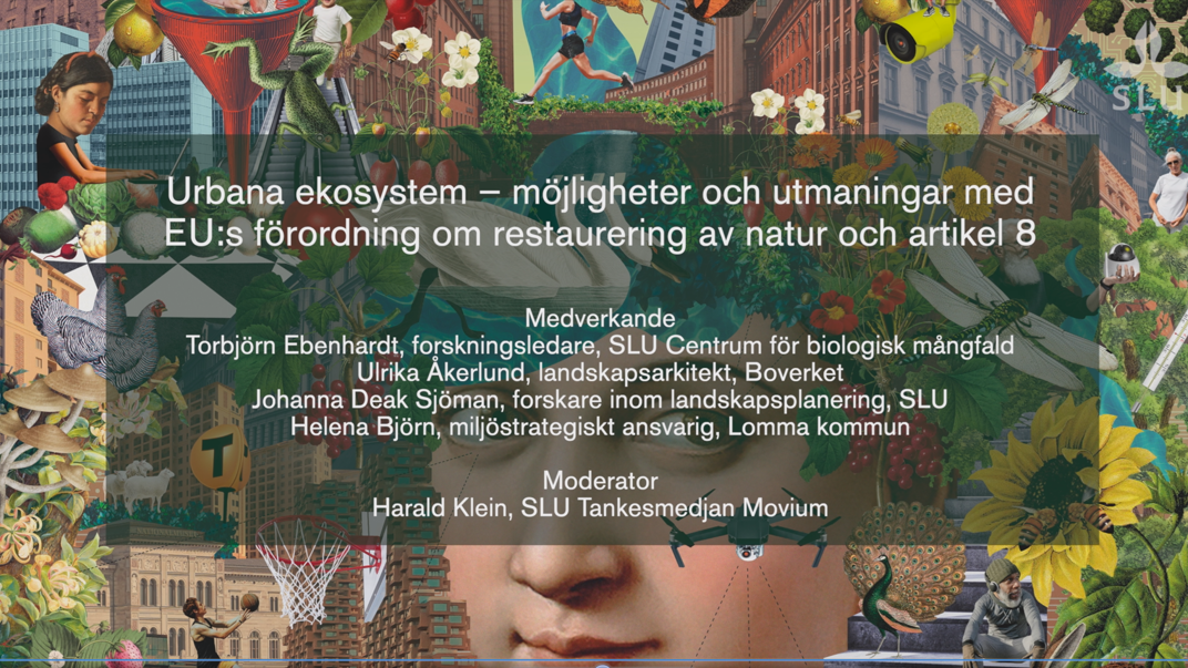 Vignette image Urban ecosystems