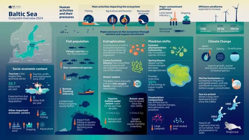 Infographic on the Baltic Sea