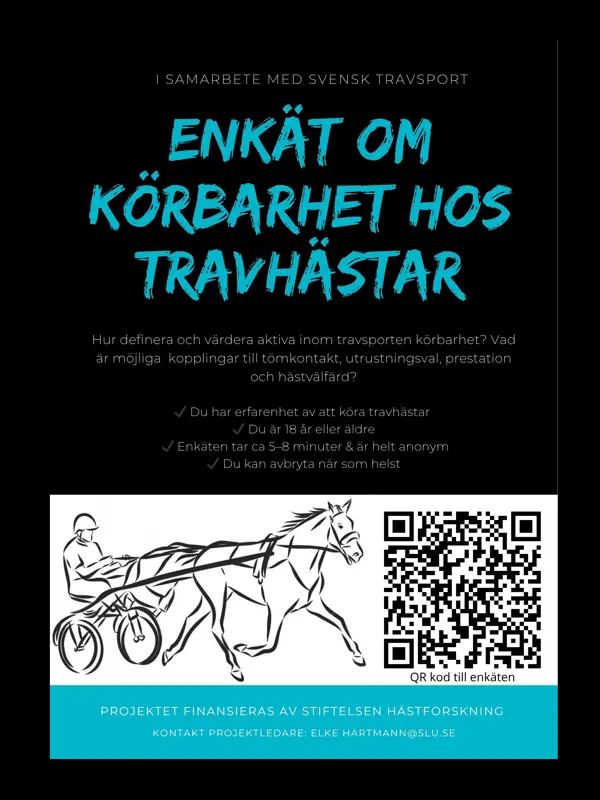 Reklamaffisch om enkätstudie om körbarhet hos travhästar.