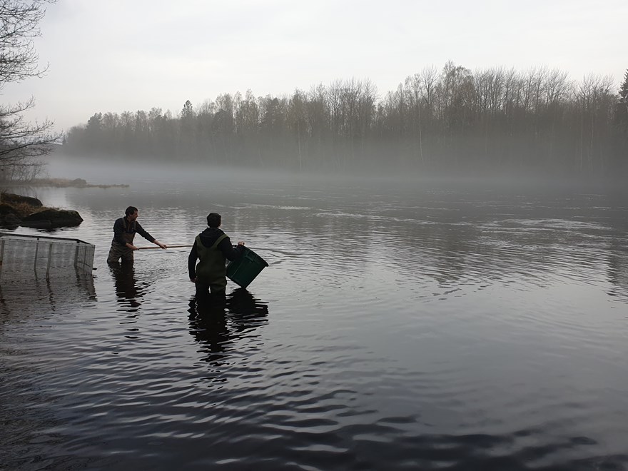 Two persons standing in the water