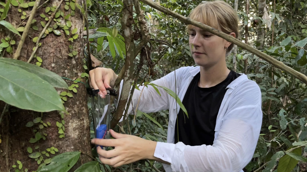 woman with device in the forest