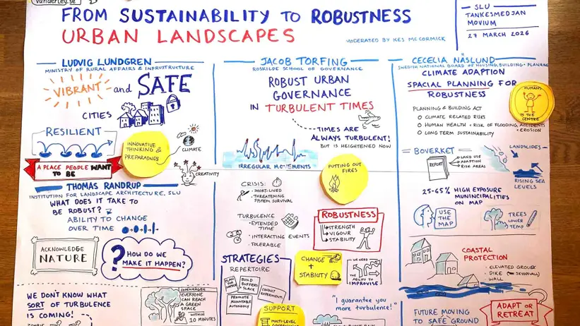 Illustration från webbinariet.