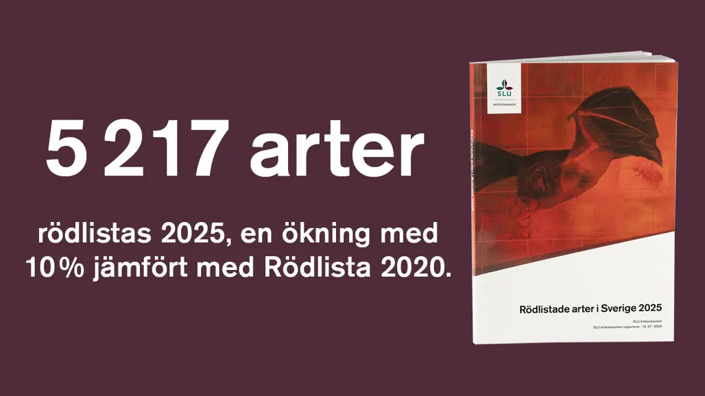 Ny rödlista för Sverige