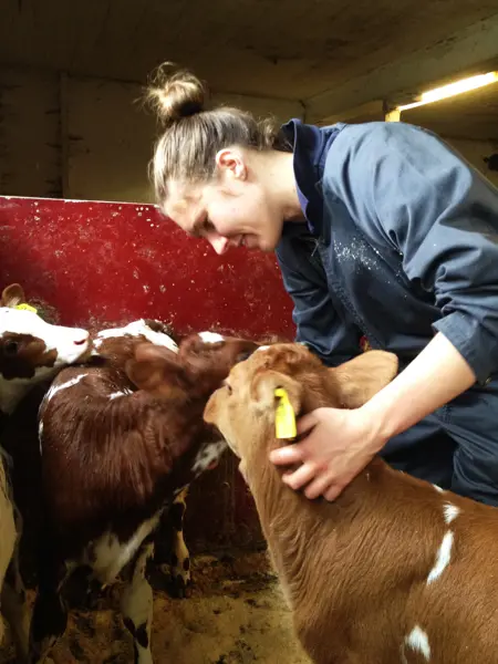 A woman cuddles with a calf. Photo.