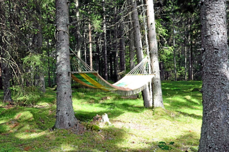 Hängmatta mellan två träd. 