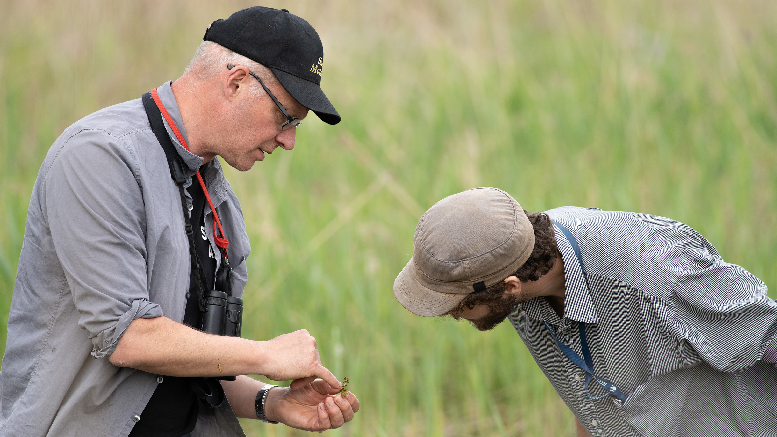 Två män står i naturen. Den ene visar den andre en liten del av en växt. Foto
