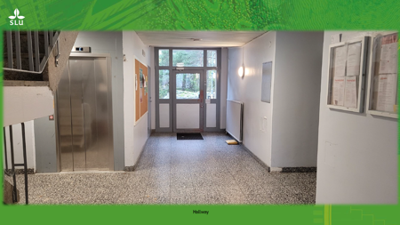 Interior of student accommodation