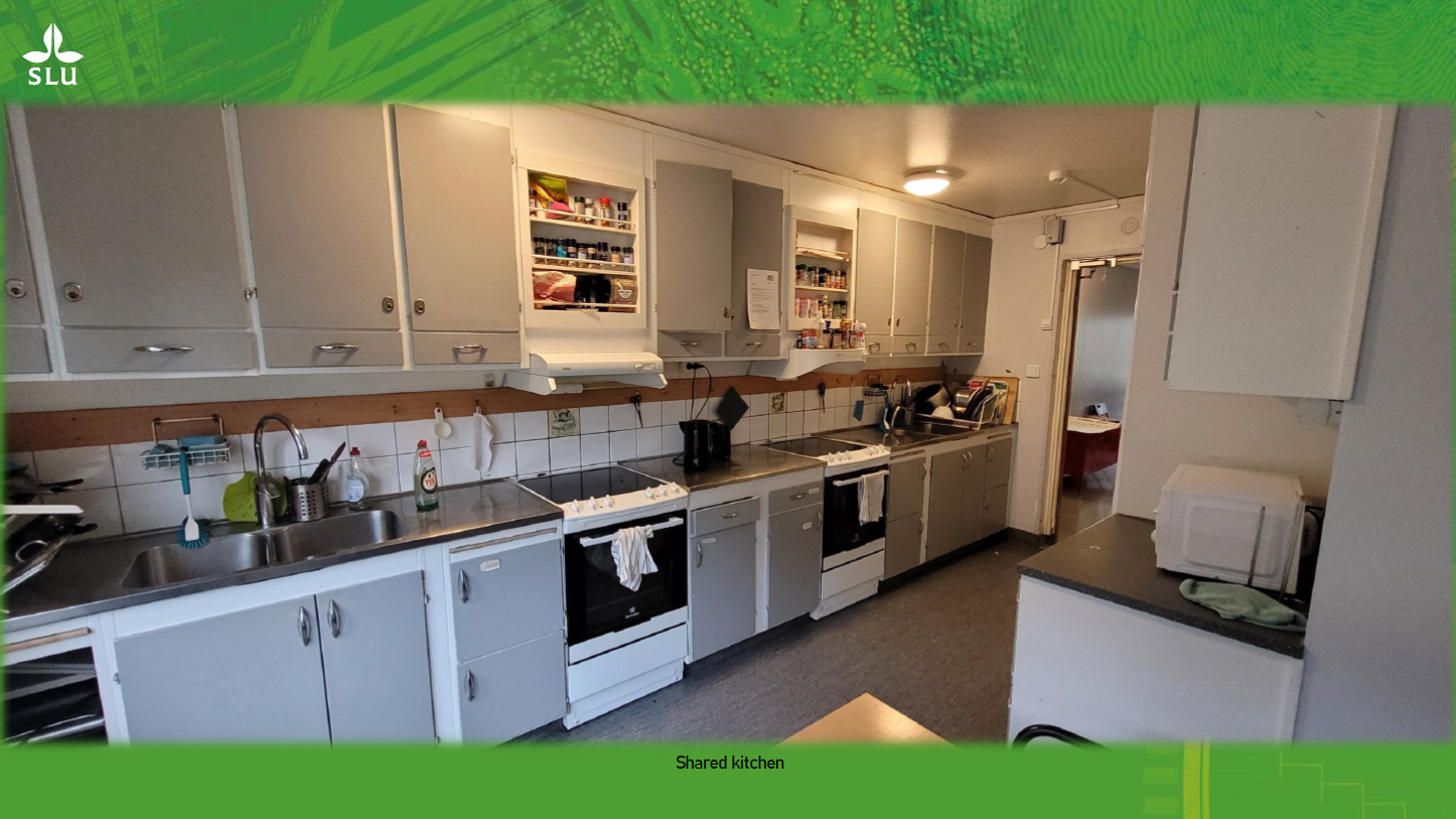 Interior of student accommodation