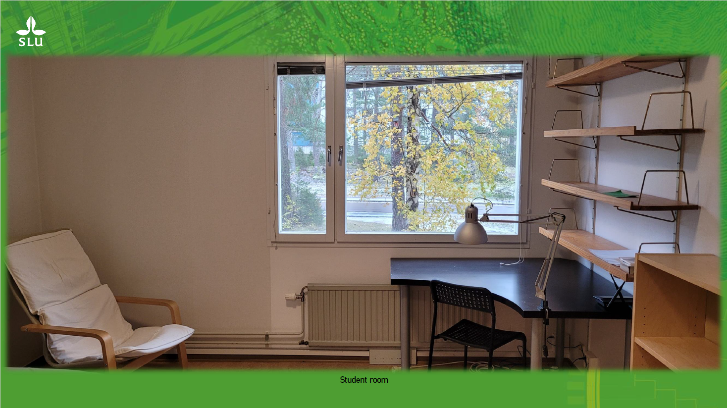 Interior of student accommodation