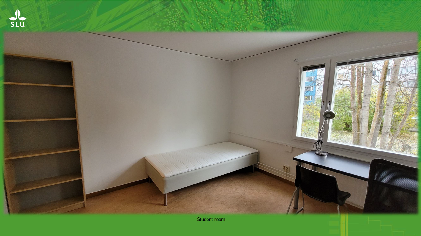 Interior of student accommodation