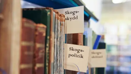 Gamla böcker, Skogsbiblioteket, SLU Umeå, foto.