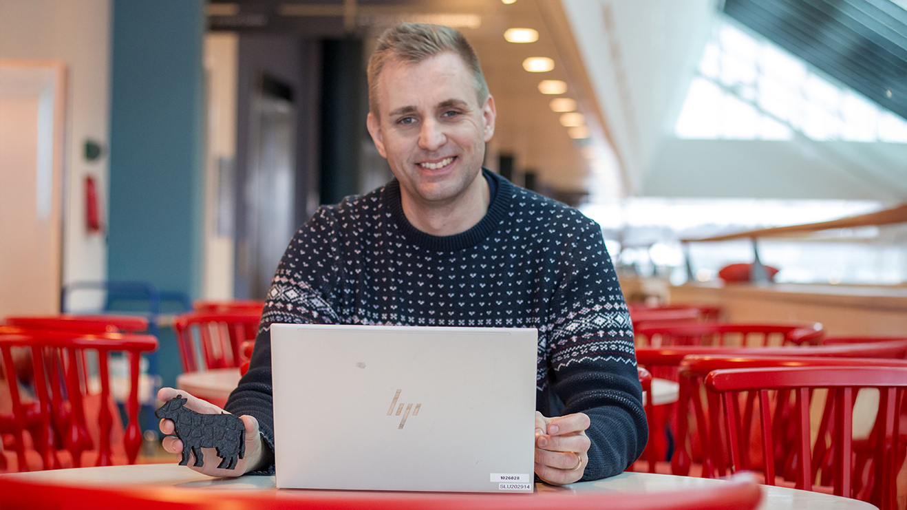 Foto av en man (Christian Bengtsson, SLU) sittandes inomhus vid en dator, med en staty av en ko i handen.