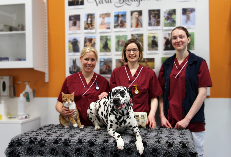 Employees at UDS Blood bank with dog and cat