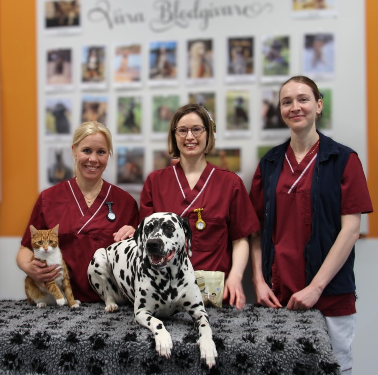 Blodbankspersonal med hund och katt