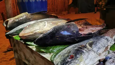 Evening image of a table lit by a lamp, displaying large, freshly caught fish laid out on green leaves. The setting appears to be a beachside location with sand and a bamboo wall in the background. The fish vary in size and species, with some partially cleaned.