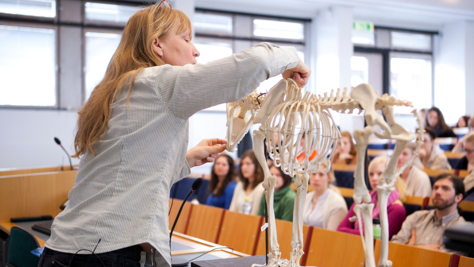 Kvinna som visar upp ett djurskelett för studenter. 