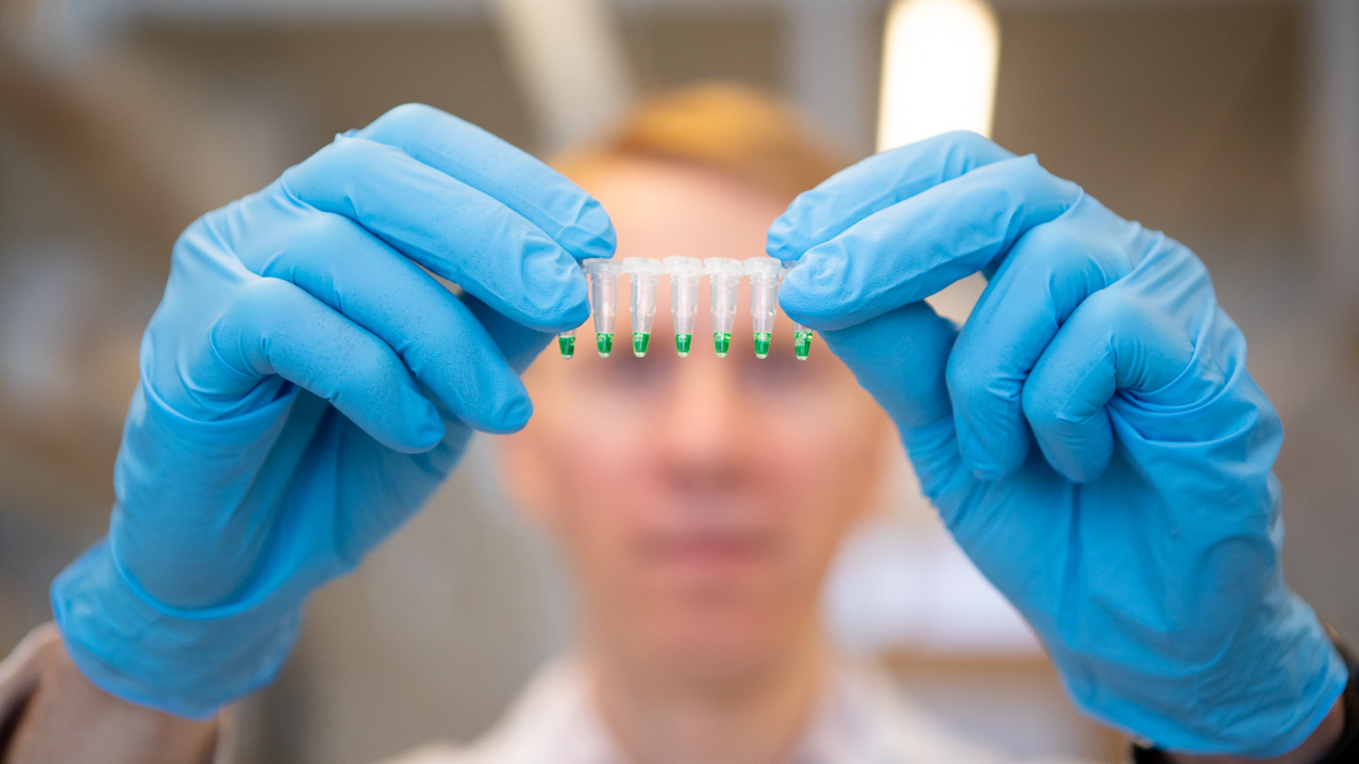 Person med blå skyddshandskar håller upp provrör med grön vätska. 