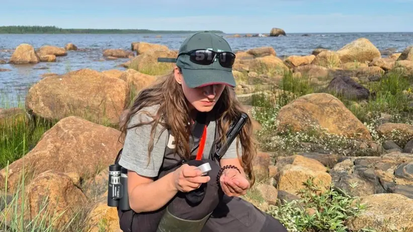 Tove Lundmark, fältinventerar i NILS