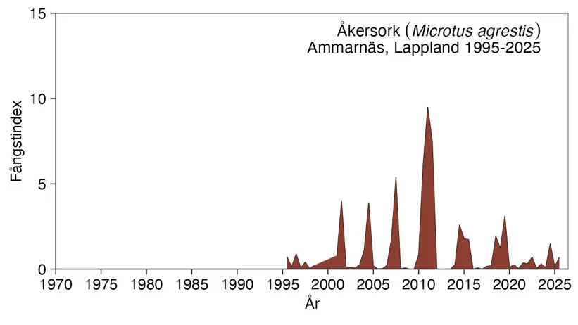 Diagram visar hur många åkersorkar som fångats.