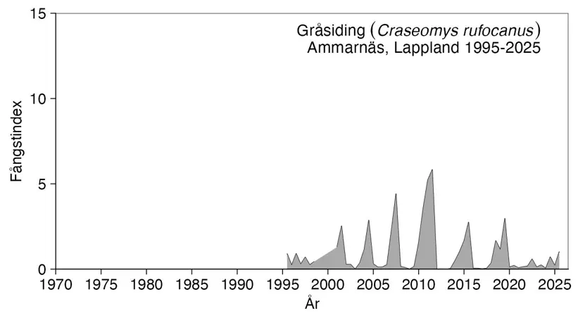 Diagram över hur många gråsidingar som fångats.