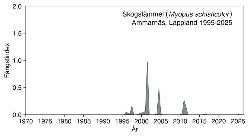Diagram visar antalet skogslämlar som fångats.
