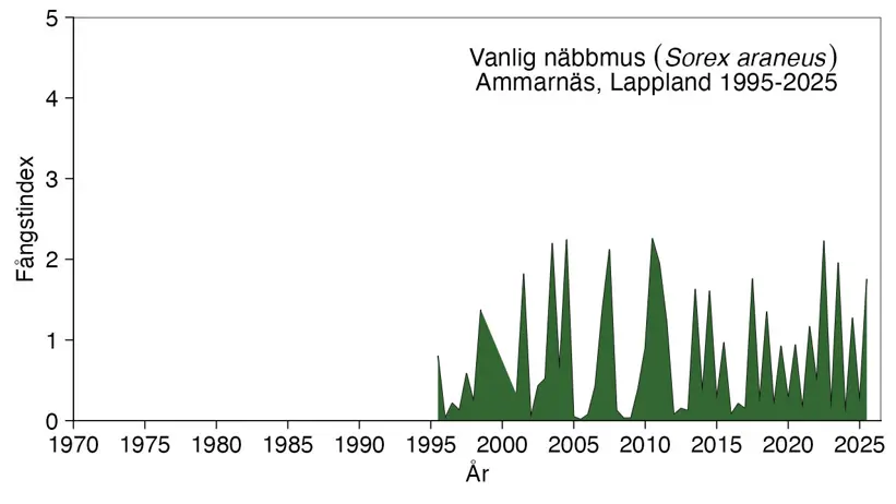 Diagram visar antalet näbbmöss som fångats.