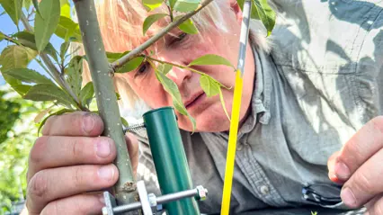 man by a plant