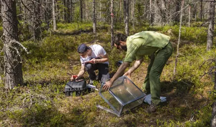 Measurements of soil carbon fluxes. Photo Credit: Andreas Palmén