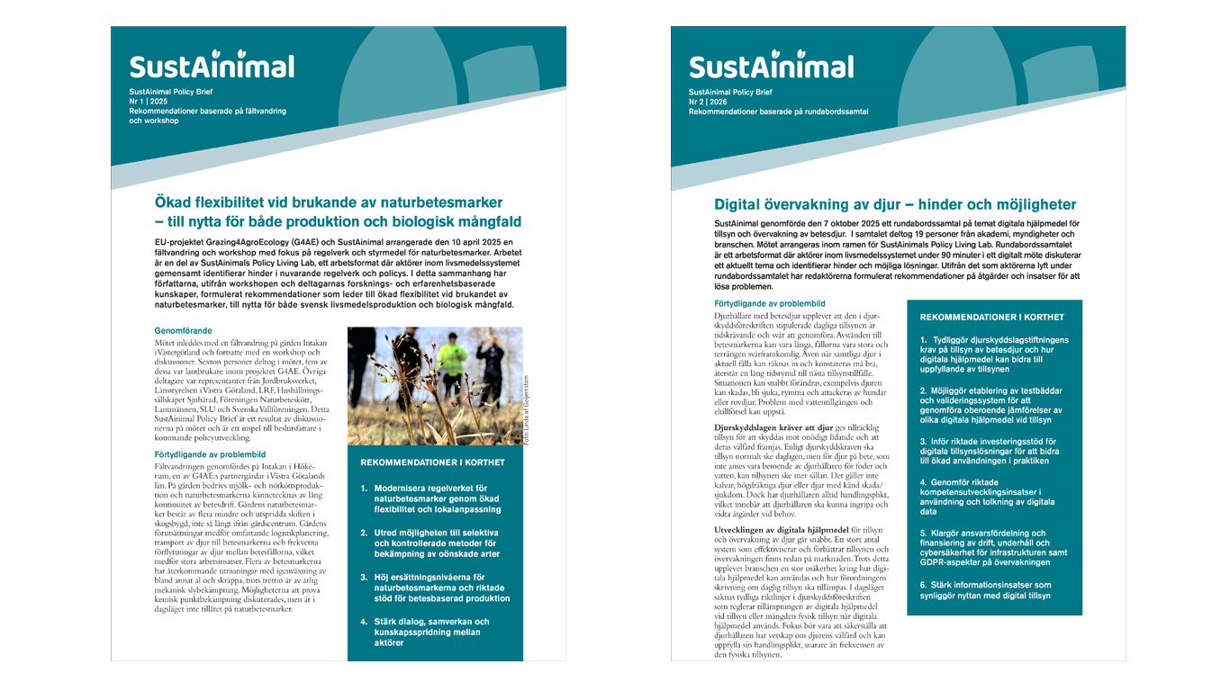 Framsidorna för policy briefs.