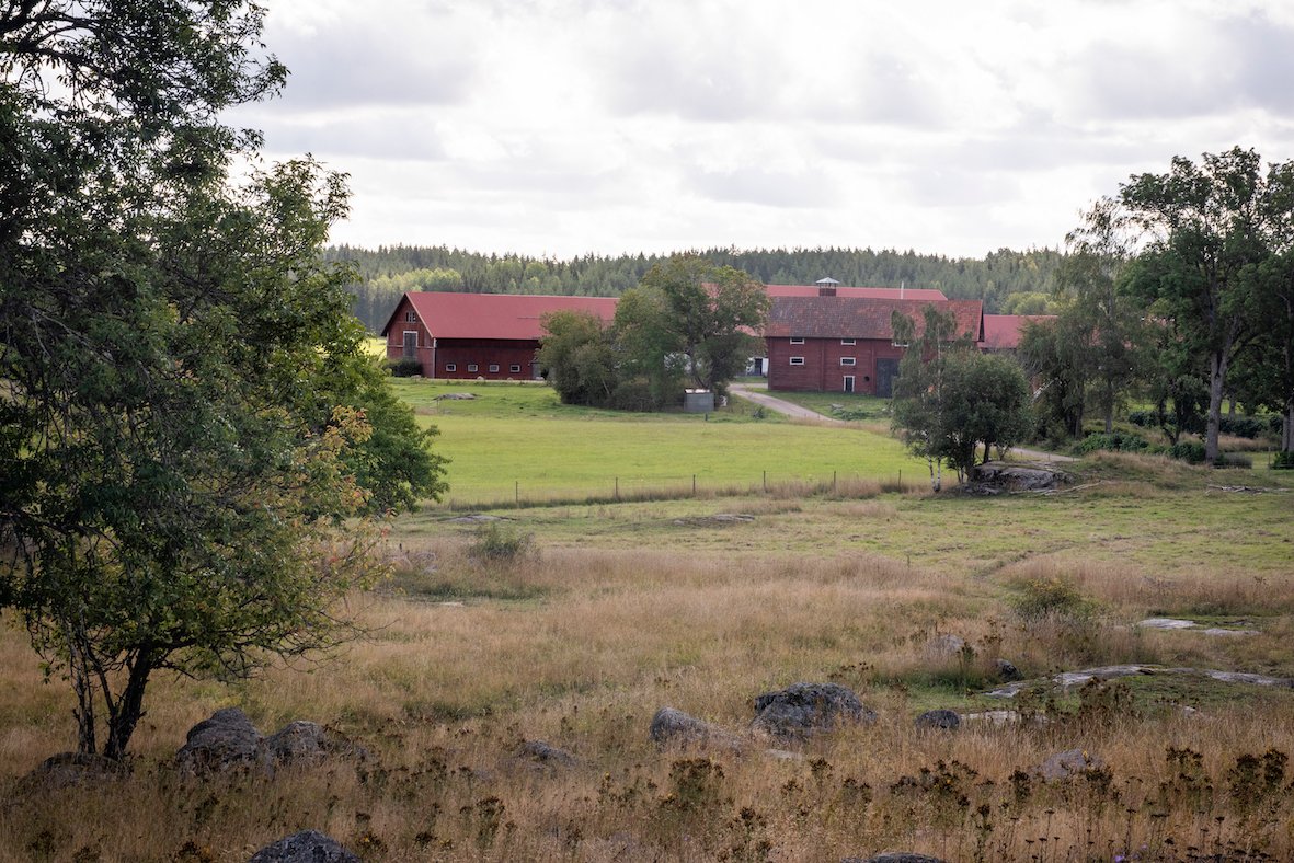 Hagby farm in agricultural landscape.