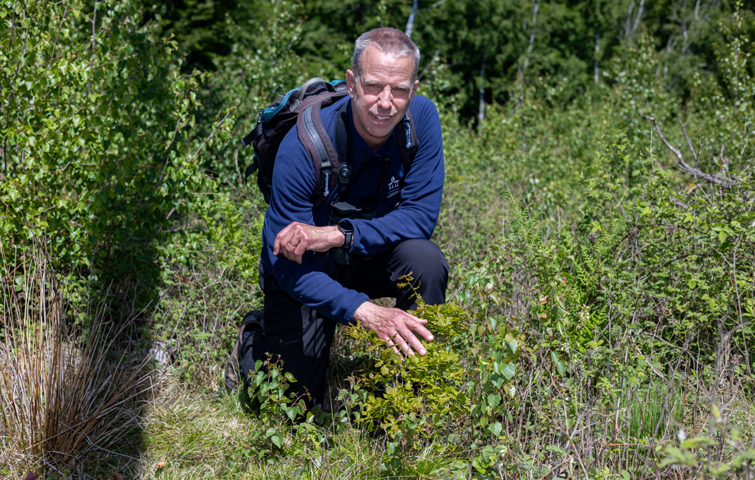 man vi en plant