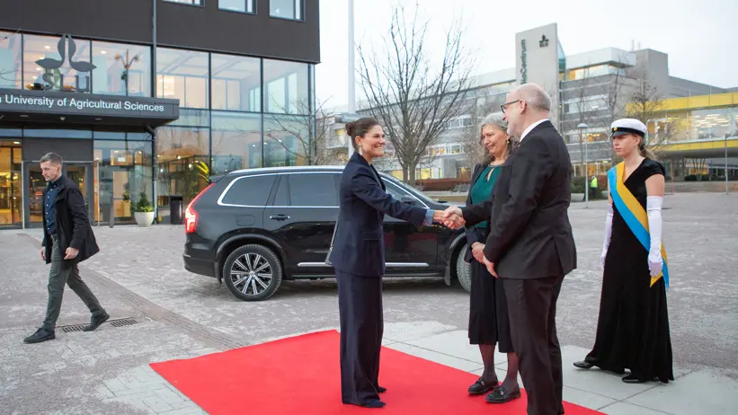A woman steps out of a car onto a red carpet and is greeted by two persons.