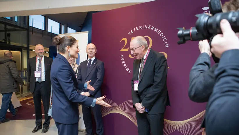 A woman says something funny to a man who bursts out in laughter. In the background more people.