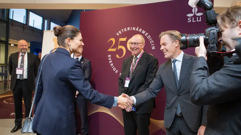 Two cheerful persons shaking hands in front of a wine-red screen.
